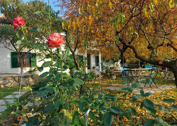 Casa Marza